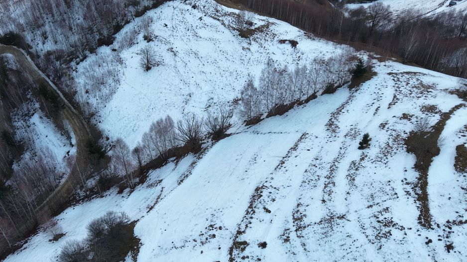 Teren de vânzare – Peștera Măgura Moeciu - Poză 2