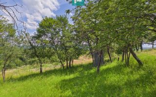 Casă de vacanță cu 2 corpuri si view în Dulcele - Poză 21