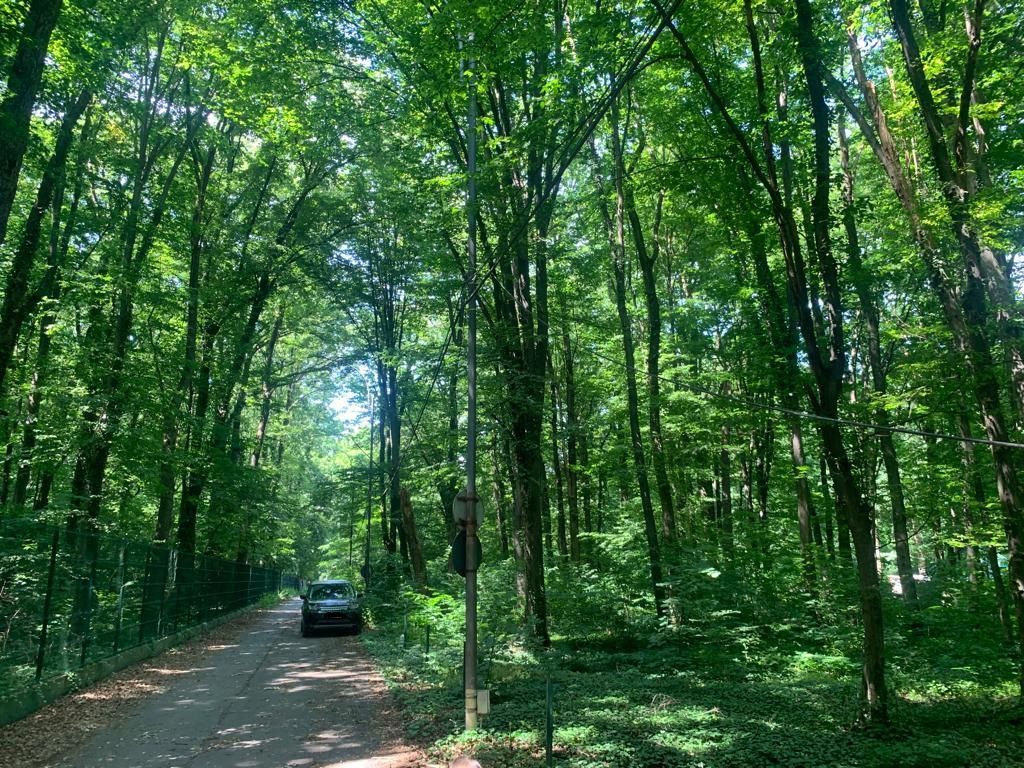 192842 mp teren in Padurea Baneasa proiect exclusivist - Poză 18