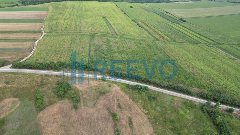 Teren de 3.600 mp Racova - Poză 6