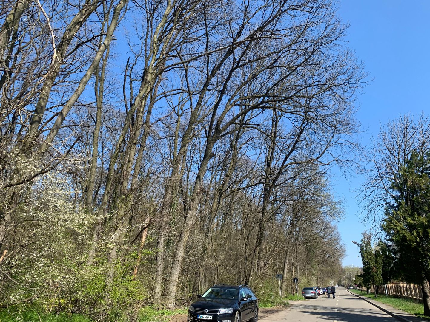 192842 mp teren in Padurea Baneasa proiect exclusivist - Poză 4