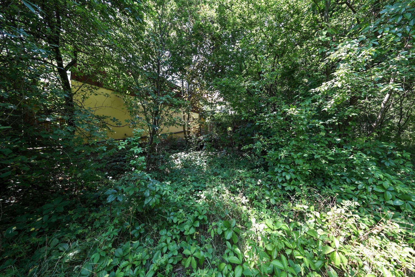 Casă spațioasă în centrul orașului Sfântu Gheorghe | Teren 1300 mp - Poză 12