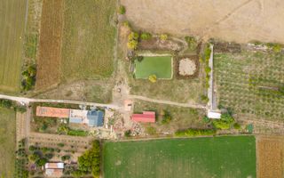 Casă cu teren 13 418 mp intravilan - Poză 12