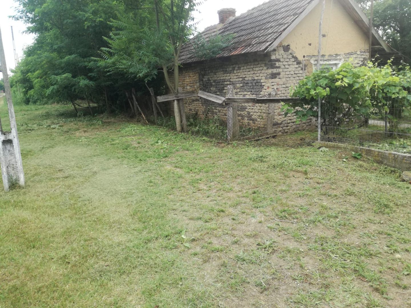 Ag BRASADAS vinde casa LOCUIBILA 3 cam teren 5.000 mp HOREA. - Poză 4