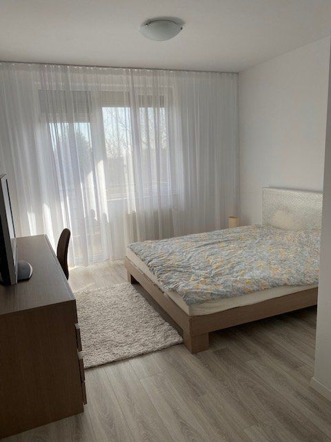 Apartament 3 camere Iancu Nicolae | Zoo - Poză 12