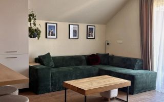 Apartament 2 camere Dumbrăvița - Poză 1