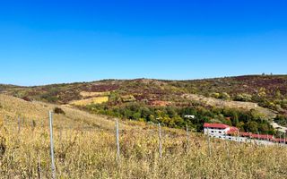 14Ha podgorie, livada pomi fructiferi, si conac 3000mp - Poză 9