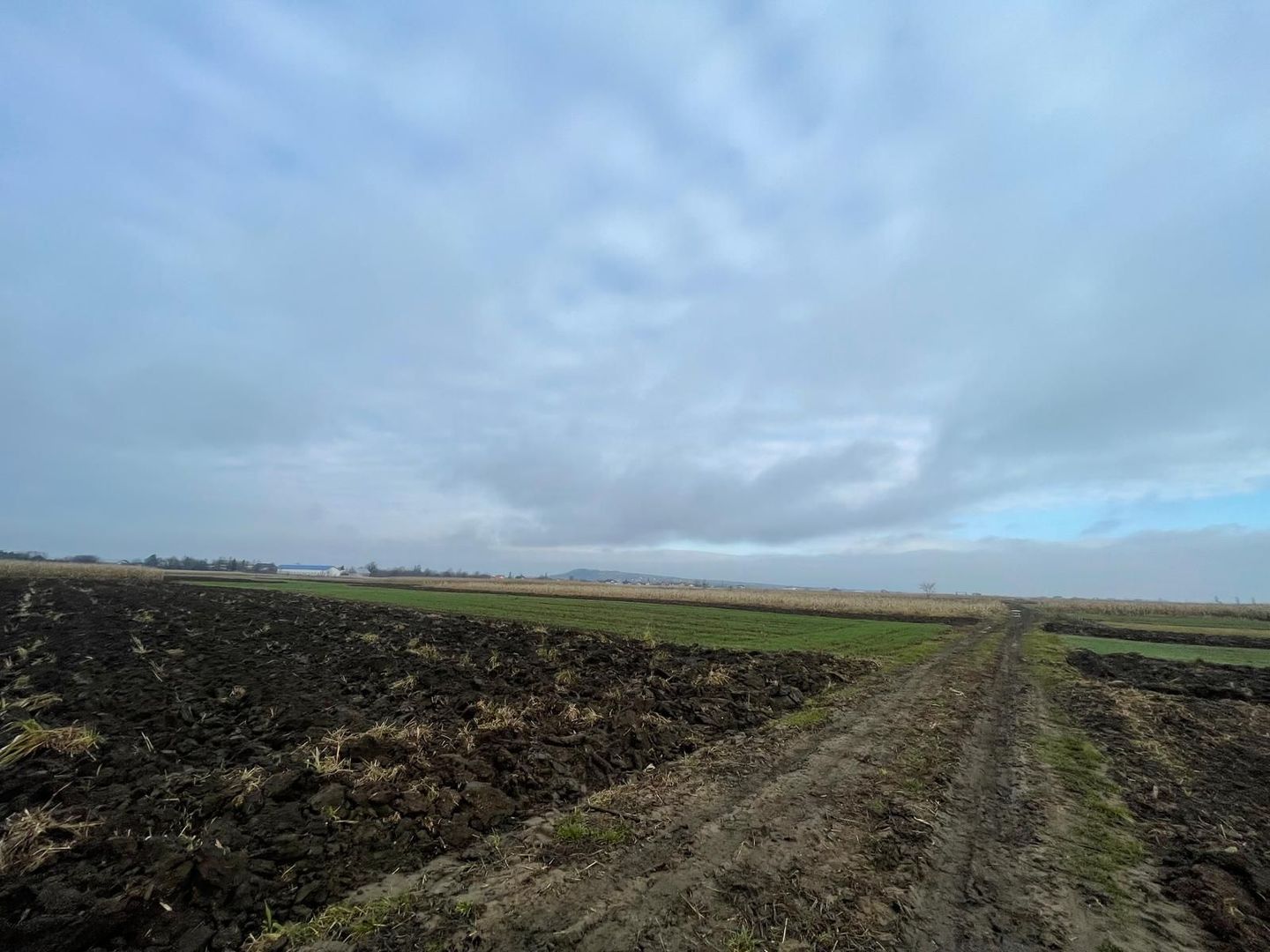 TEREN EXTRAVILAN 13 ARI | FRONT STRADAL 13 M | MARGINEA - Poză 9