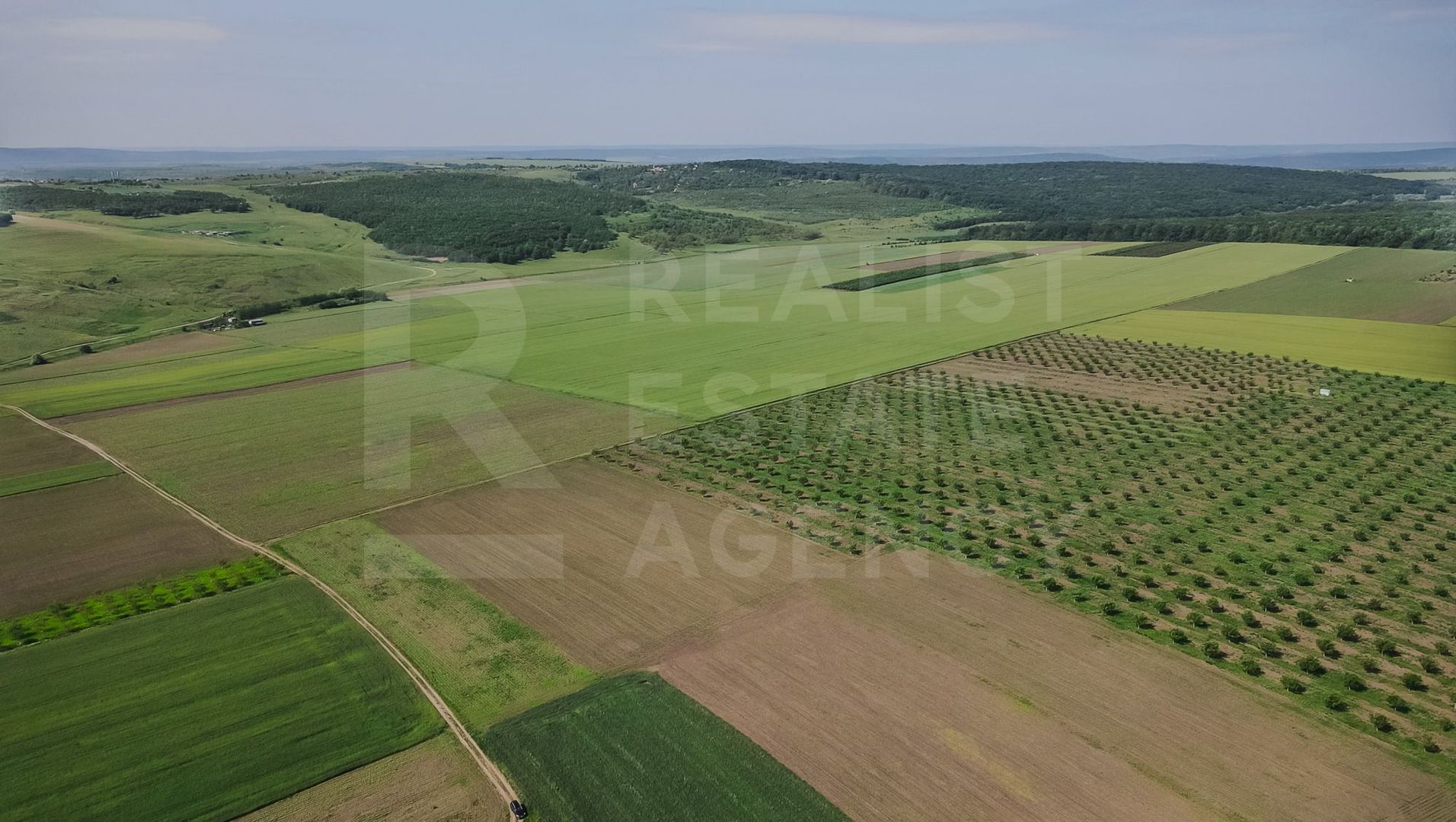 Vînzare, teren agricol, 25,3 ha, s. Peresecina, Orhei. - Poză 3