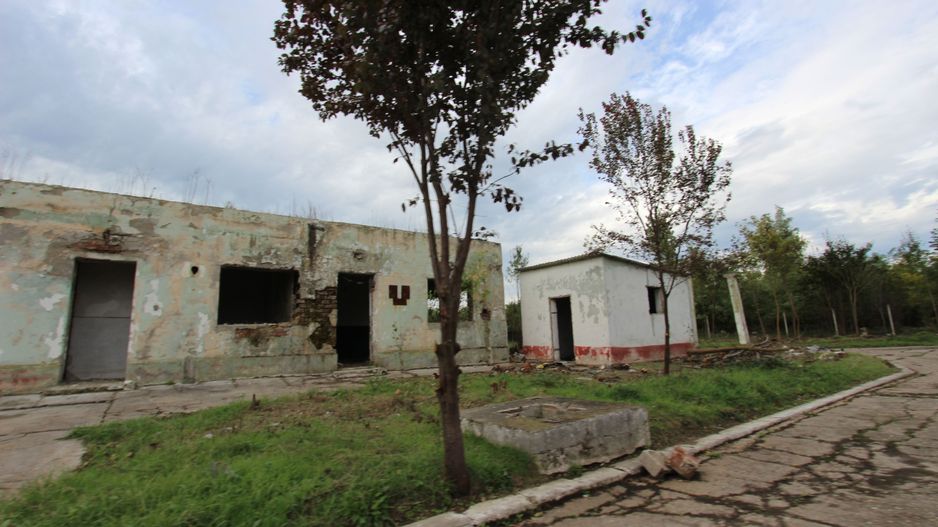 Vanzare hale Mosnita Noua-fosta Ferma 7 - Poză 13