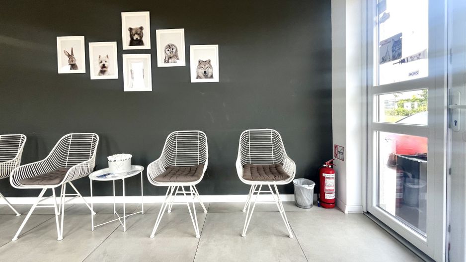 Spatiu comercial, amenajat si compartimentat, in Dumbrăvița - Poză 8