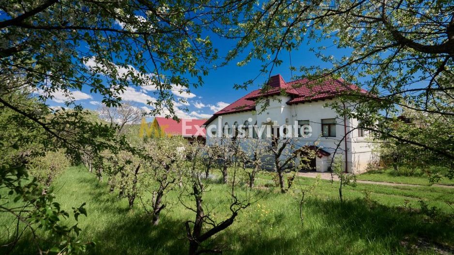Casa Valea Mare Pravat (Campulung-Arges ) - farmec interbelic - Poză 16