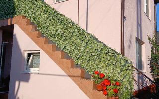 🏡 CASĂ SPAȚIOASĂ CU 5 CAMERE, CURTE ȘI TEREN - Poză 3