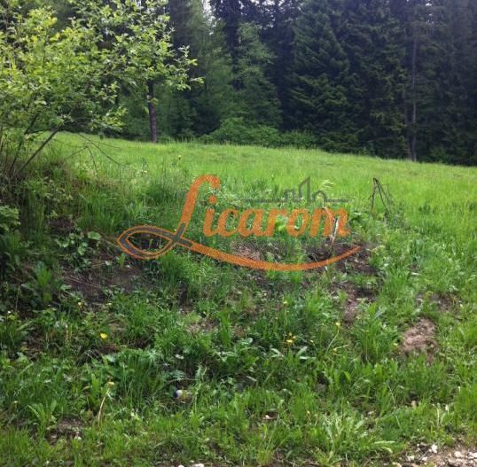 Teren intravilan Cotul Donului,pretabil Hotel/pensiune. - Poză 13