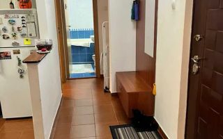 2 camere decomandate, Manastur, Primaverii, Calvaria MOL, Pet Friendly - Poză 8