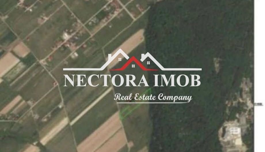 NECTORA IMOB-Teren Intravilan 667 mp, Beverly Hills-Padure Baile Felix - Poză 9