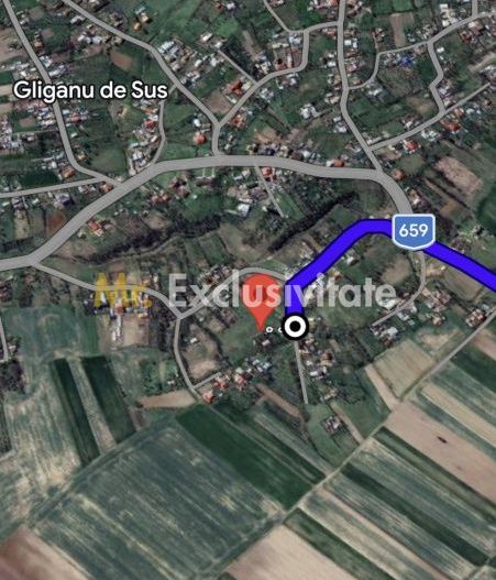 Teren intravilan 6500 mp- Gliganu de Sus - Rociu - Poză 2