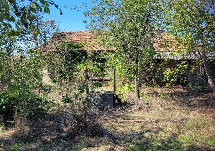 BRASADAS vinde casa in Moftinul Mare. - Poză 8