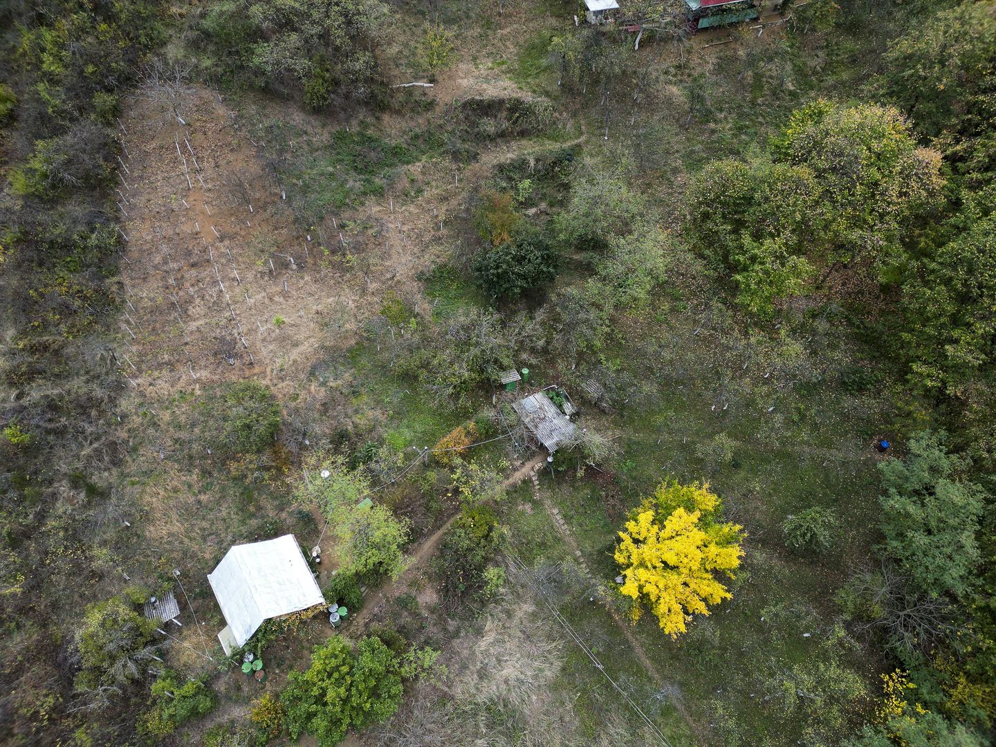 Teren 18,300mp Ghioroc - Poză 17