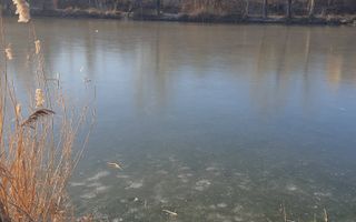 Teren superb rezidential, pe malul lacului Pipera - Poză 6