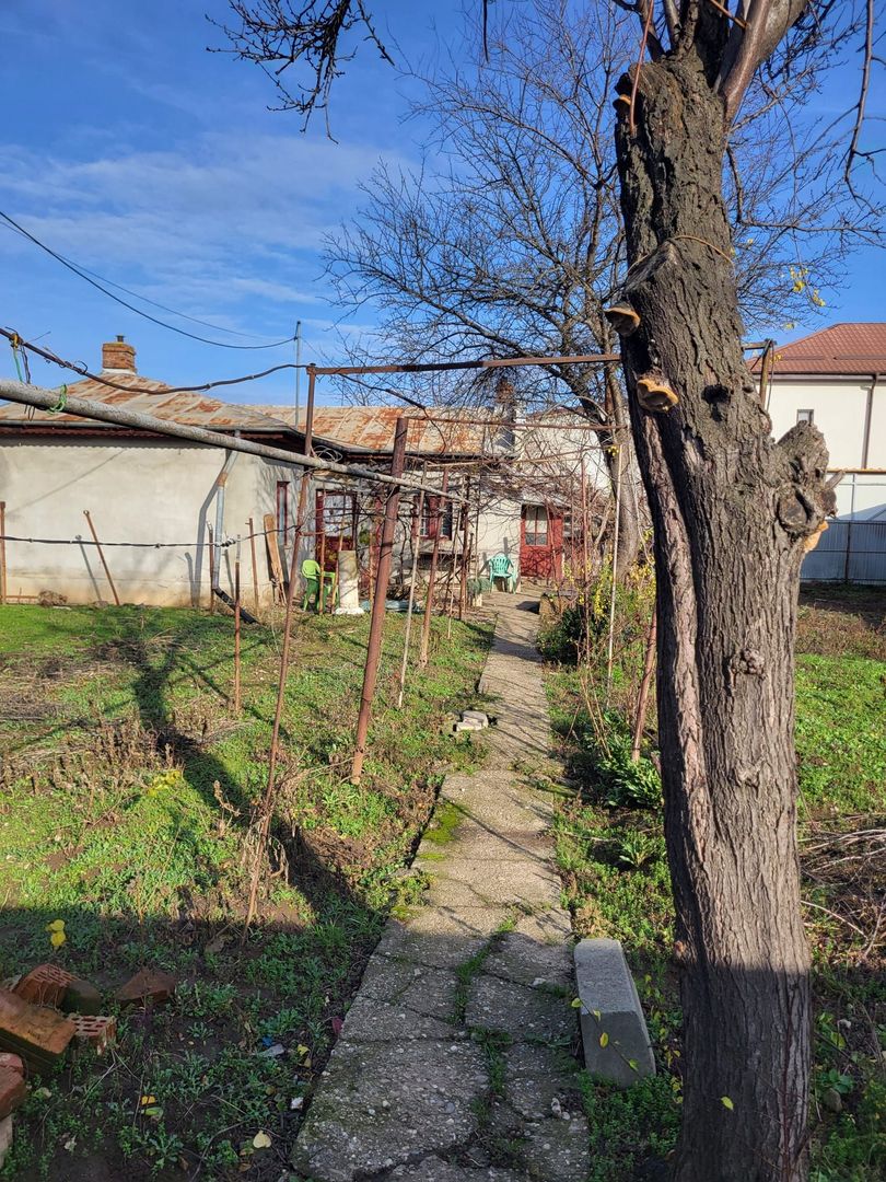 🏡 Casa  – Voluntari, Str. Târnava - Poză 4