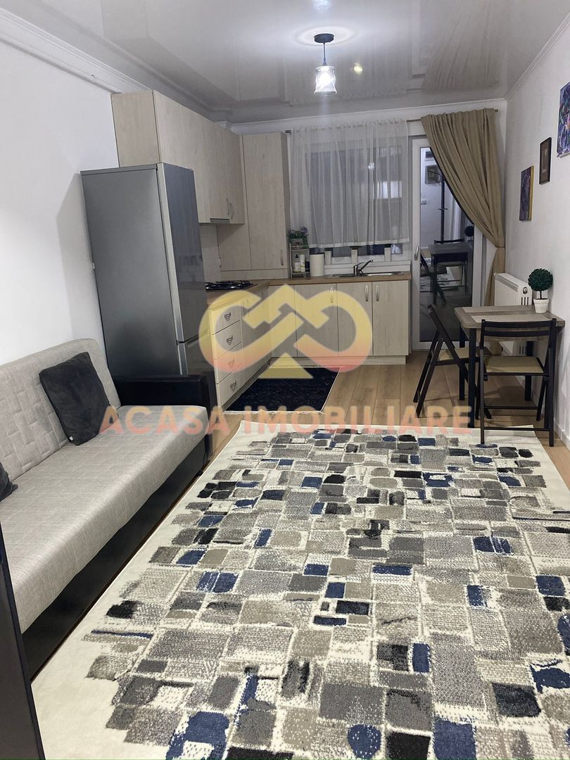 NOU  APARTAMENT 2 C OPEN SPACE BUCIUM VISAN - Poză 3