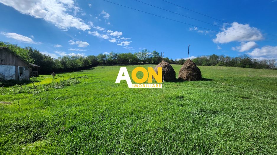 De vanzare 2965 mp teren intravilan, toate utilitatile, Oarda de Sus - Poză 3