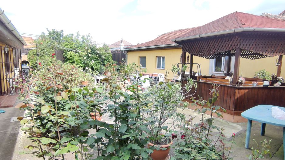 CASA INDIVIDUALA SI HALA CU TEREN  4000 MP - Poză 34