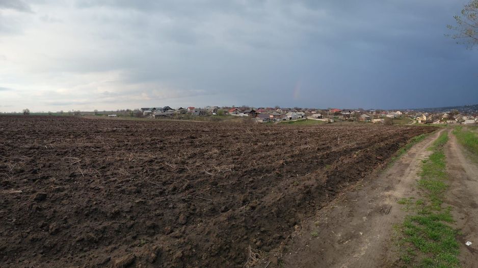 Teren Agricol de Vânzare - 162 Ari în or. Singera, Extravilan 🌿 - Poză 5