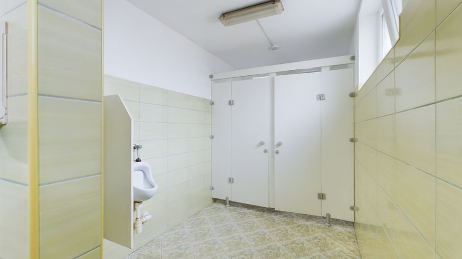 Pensiune in Arad (Vladimirescu) pe DN7 - Poză 14