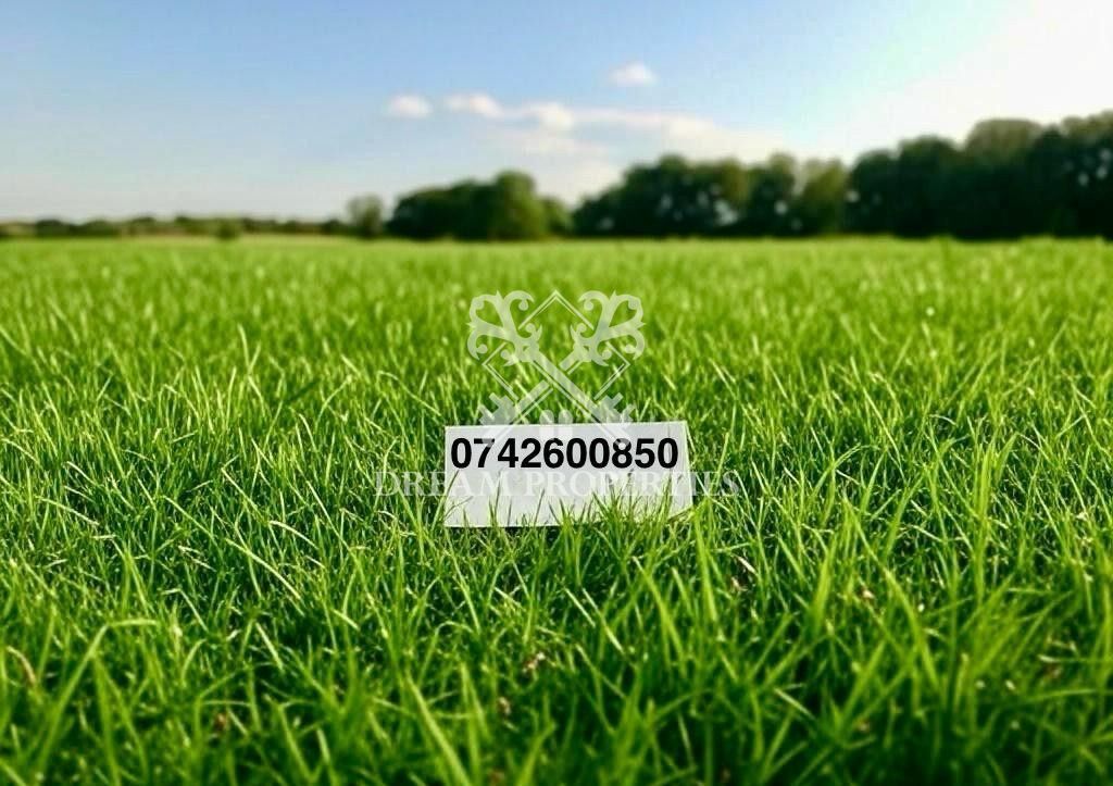 Teren intravilan de vanzare, Dezmir - Poză 2