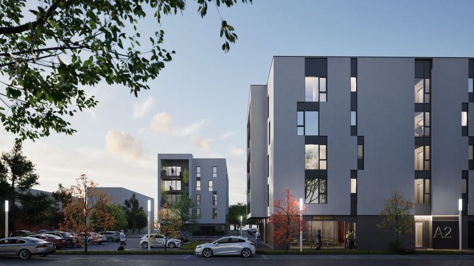 Spațiu Comercial în Via Universitate - Poză 3