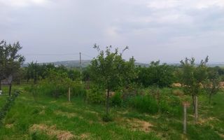 Casa + garaj + 5400 mp teren in Tomesti Goruni, zona de vis, nu rata - Poză 18