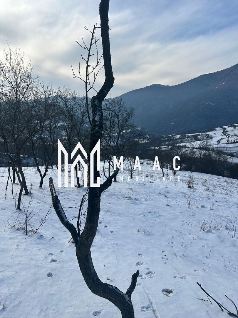 Teren de vânzare, 7750 mp I Orientare sudică I Caineni - Poză 3