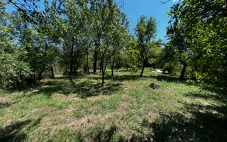 CASA 4 CAMERE CAMPULUNG, TEREN 3213 MP - Poză 29