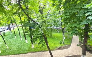 Apartament 2 camere, Podu Roș, etaj 1, ultracentral, 5 minute de Palas, stare excelentă - Poză 12