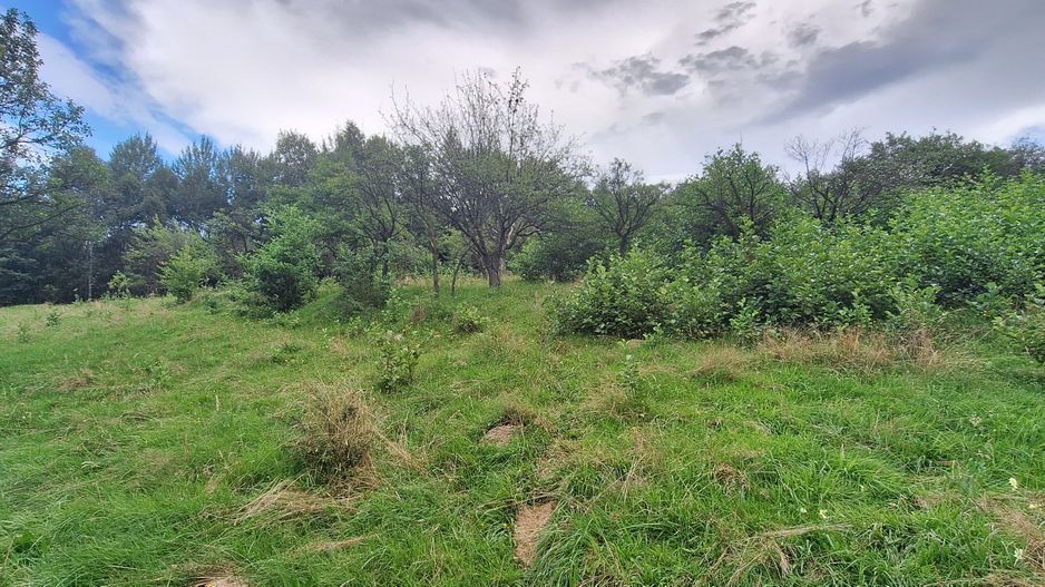 Bran-Predelut doua parcele de 2000+3000mp pret 25 euro/mp - Poză 5