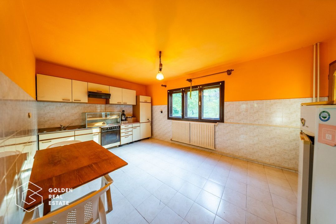 Casa de vacanta, localitatea Cladova, ideal pozitionata - Poză 20