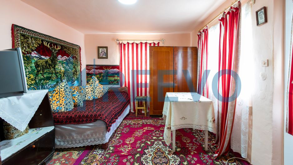 Casa si teren 3365mp Sascut - Poză 20