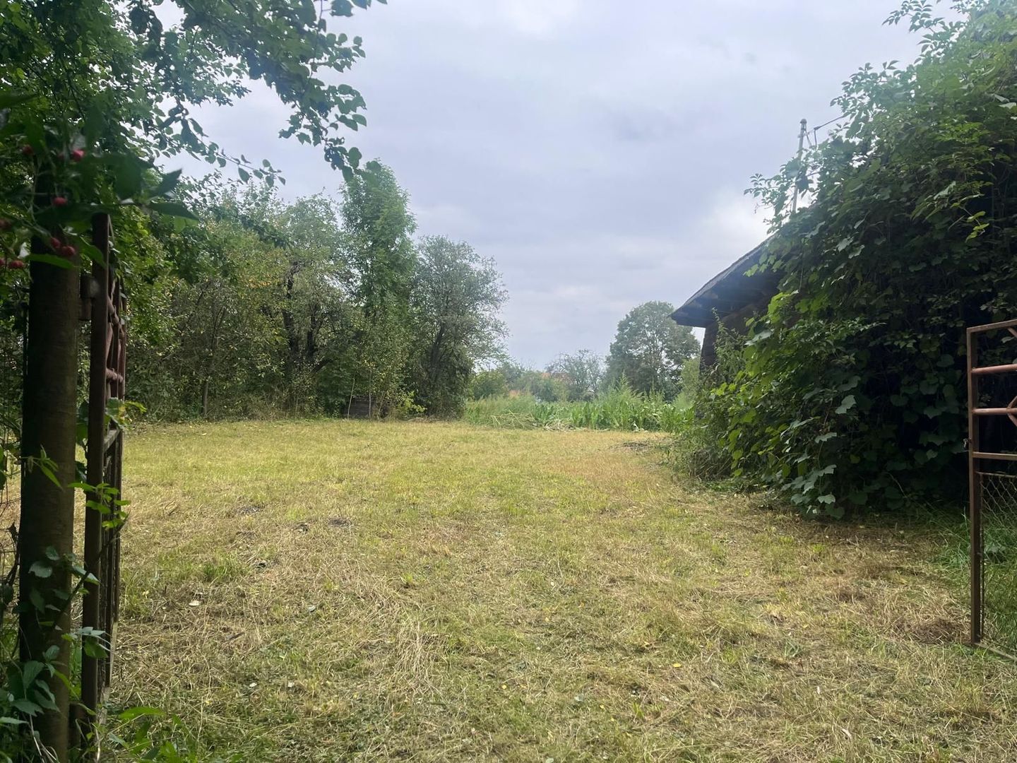 De vânzare teren intravilan, 2352 mp, Pachia, Covasna! - Poză 5