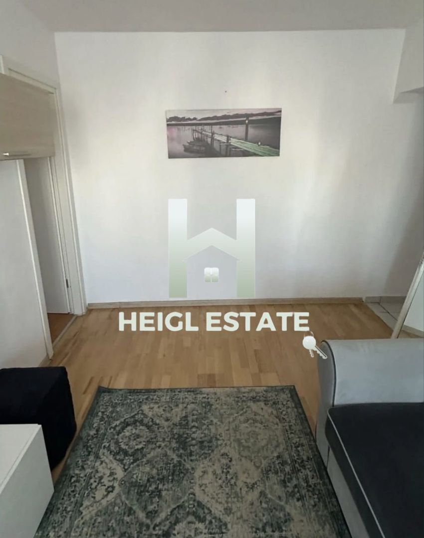 Apartament 1 camera Calea Sagului - Poză 4