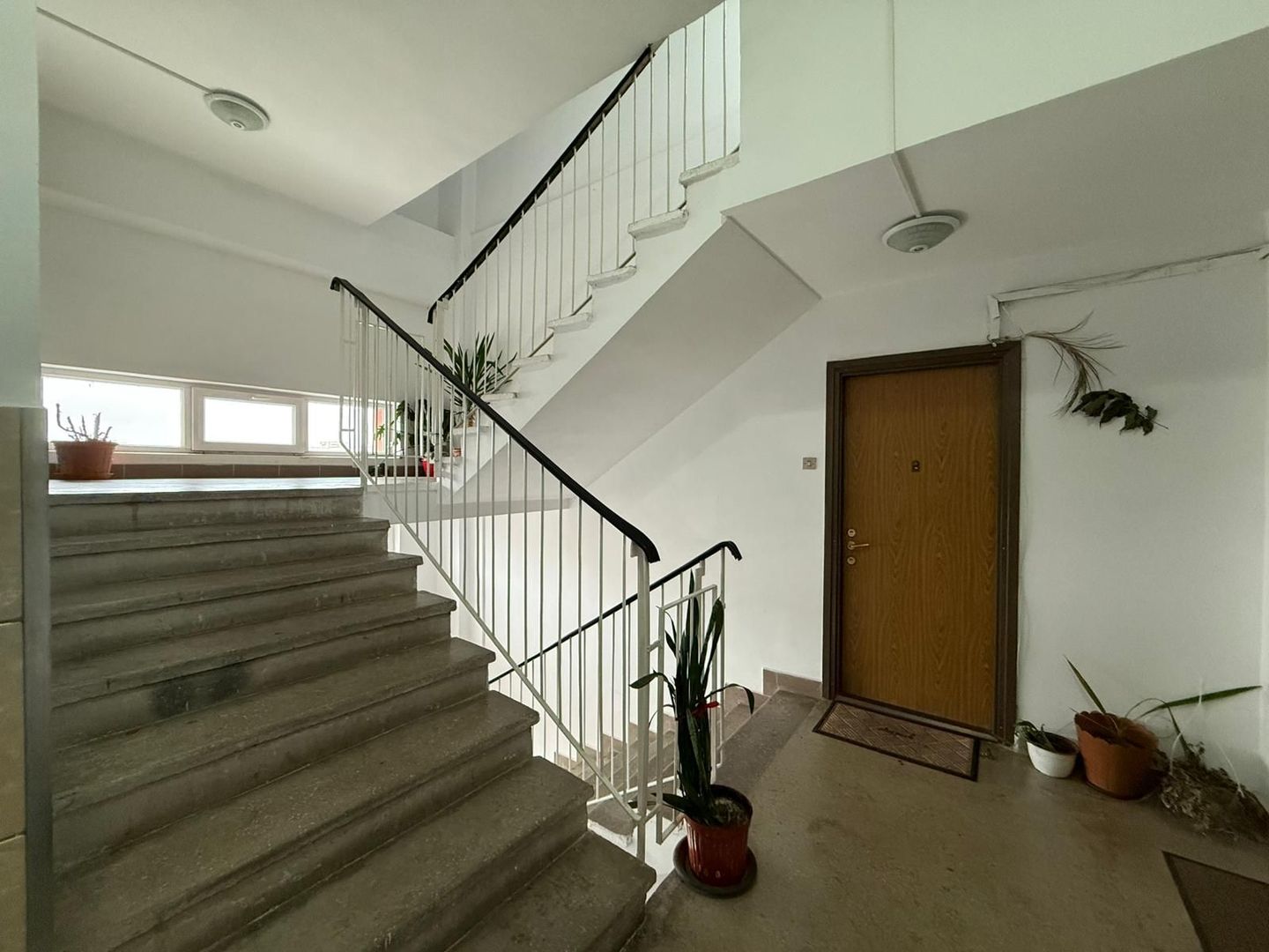 3 camere | Teiul Doamnei | Bloc din 83 | Reabilitat - Poză 16