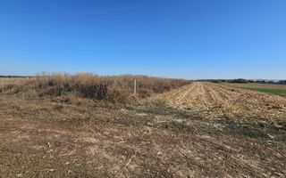 Copăceni - Ilfov - Teren intravilan arabil de vânzare - 1.148 mp - Poză 1