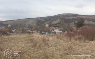 Teren intravilan 3841 mp, situat central, Covasint - Poză 1