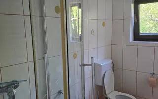 Vilă elegantă și casă independentă pentru oaspeți - Banesti - Poză 22