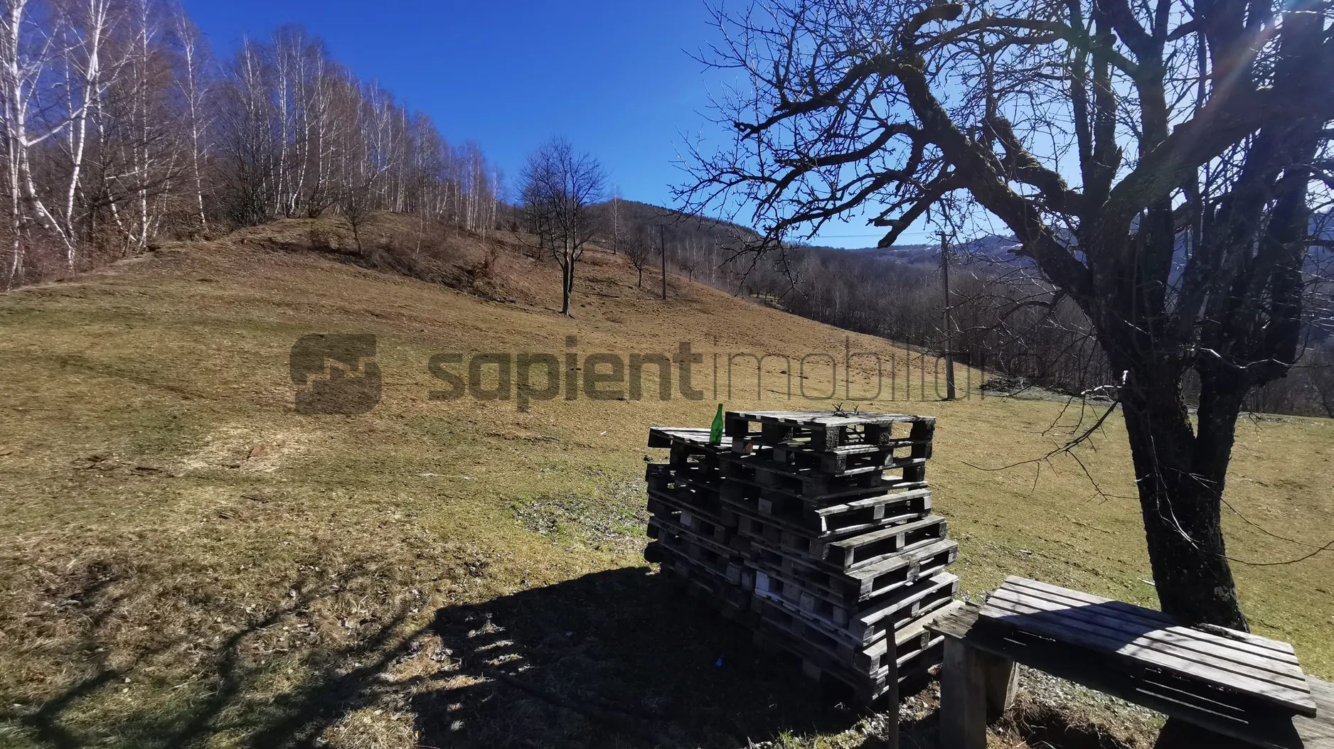De vânzare teren intravilan 10,100 mp, cu anexă, Munteni - Poză 3