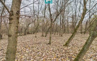 Teren pe malul Muresului- oportunitati multiple - Poză 24