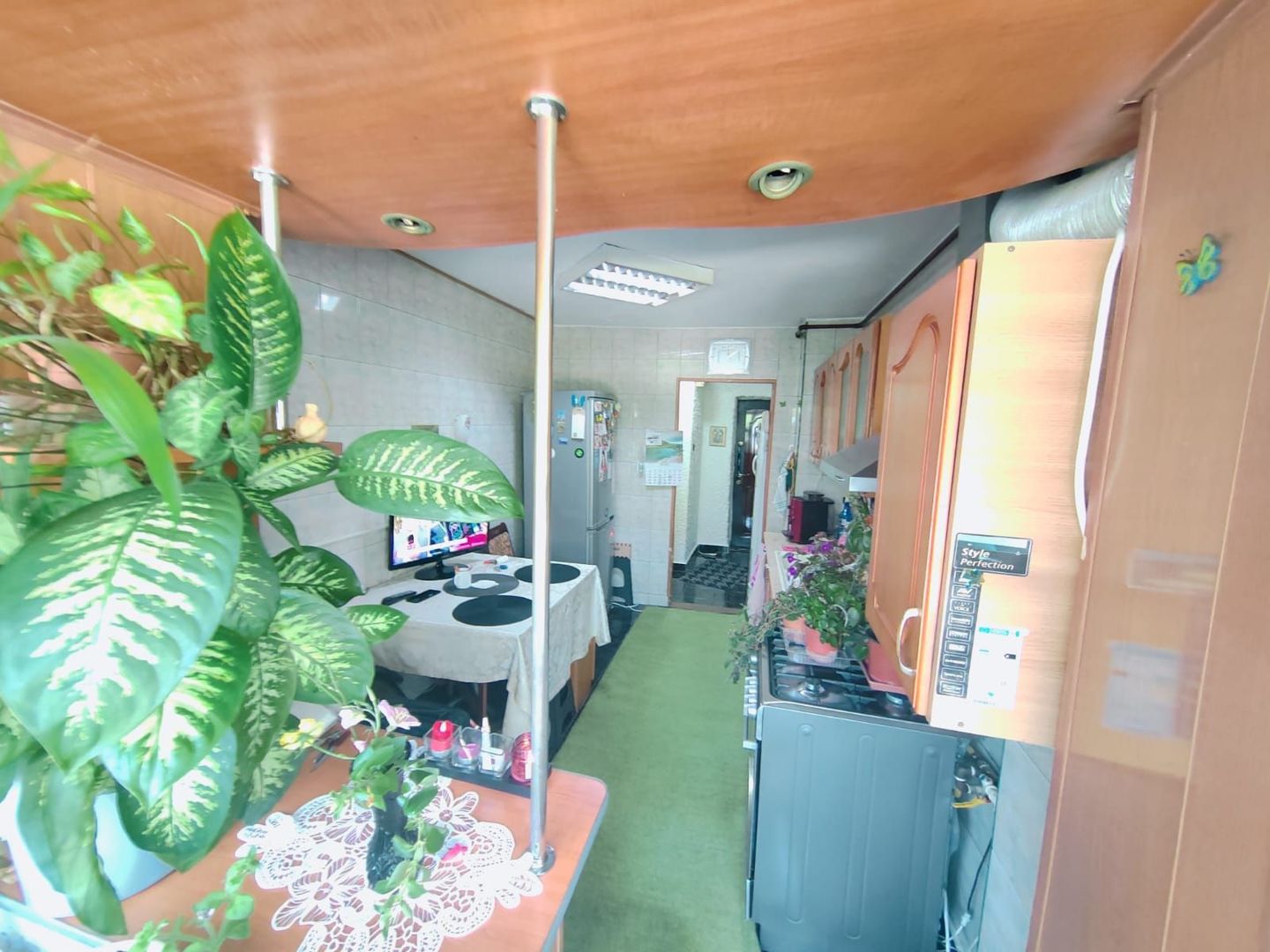 Domenii Ion Mihalache stradal super pret - Poză 1