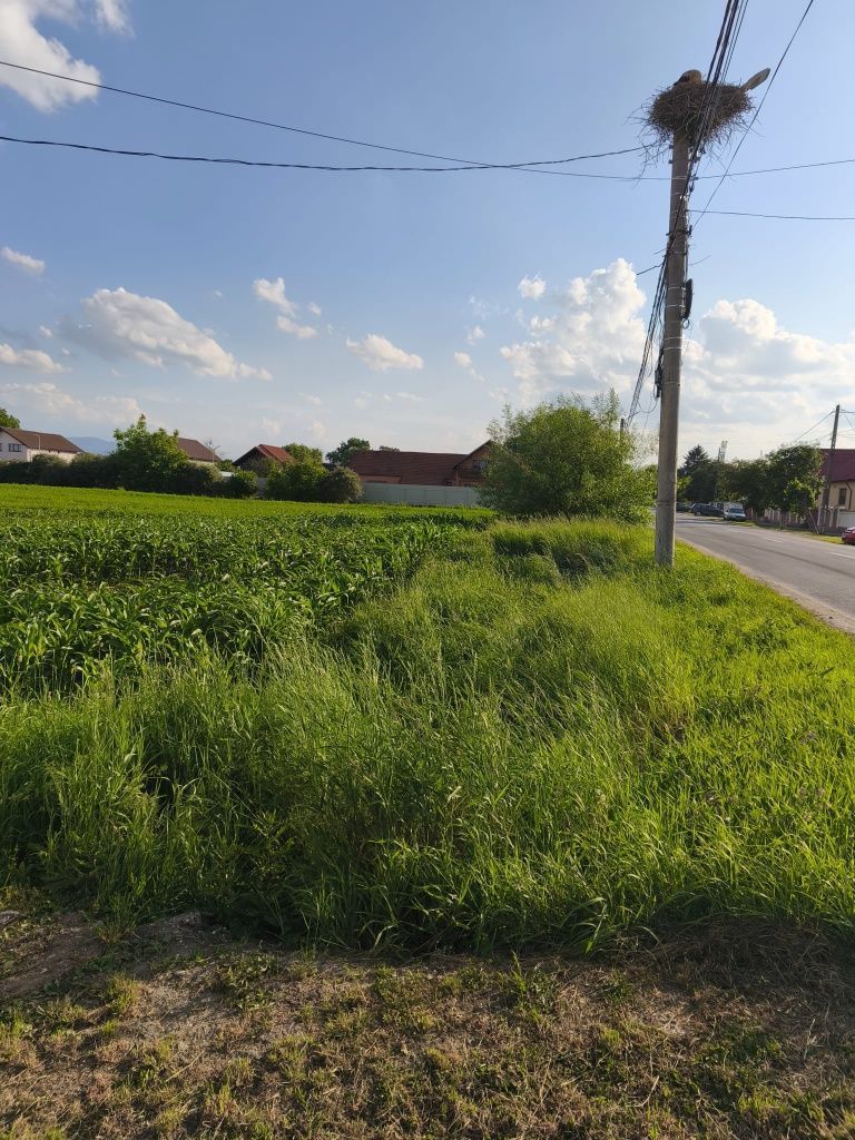 teren intravilan 700mp str. Fagurului, Stupini - Poză 4