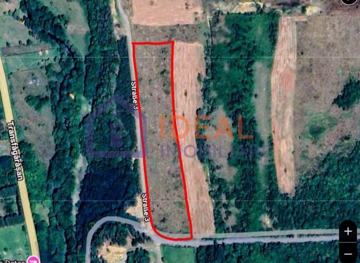 Teren extravilan 6.500 mp – două căi de acces, Cârțișoara - Poză 8